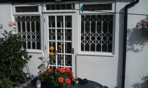 IMAG0409